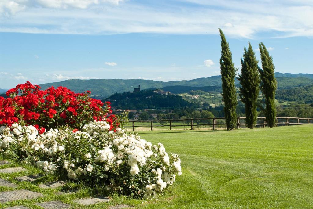 Antico Fio Casa di campagna